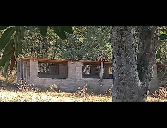 FARM FOR SALE IN TZANEEN RURAL